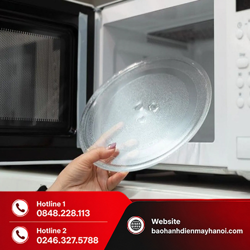 Bán Đĩa Lò Vi Sóng Tại Hà Nội