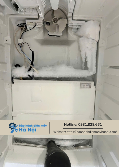 Hướng dẫn vệ sinh quạt tủ lạnh Hitachi tại nhà - Bí quyết giúp tủ lạnh hoạt động hiệu quả (1)